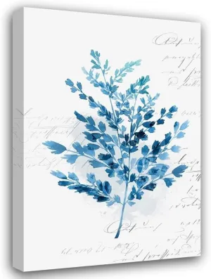 ArtDirect Botanical Blue III 13x18 Gallery Wrapped Canvas Museum Art by Isabelle Z