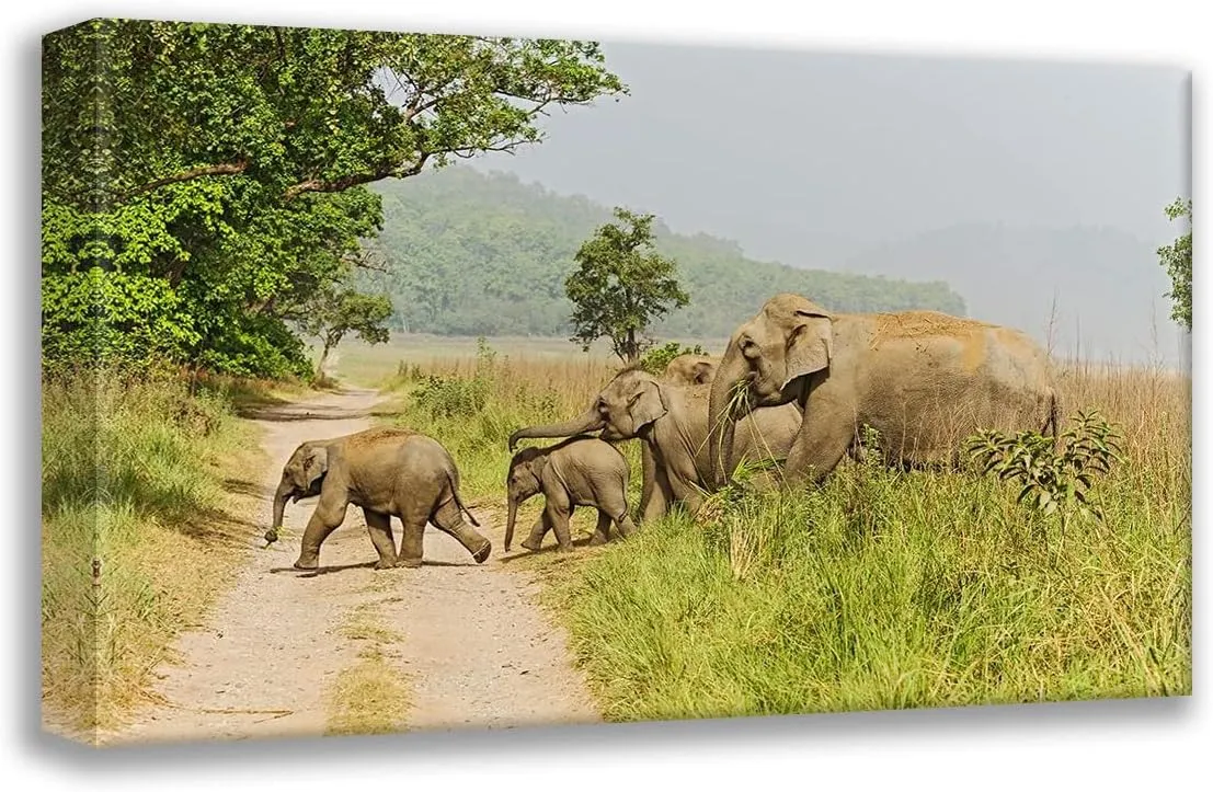 ArtDirect Rajput, Jagdeep 24x17 Gallery Wrapped Canvas Museum Art Titled: Asian Elephant family crossing the jungle track Corbett National Park-India