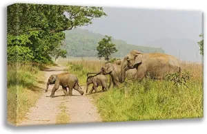 ArtDirect Rajput, Jagdeep 24x17 Gallery Wrapped Canvas Museum Art Titled: Asian Elephant family crossing the jungle track Corbett National Park-India