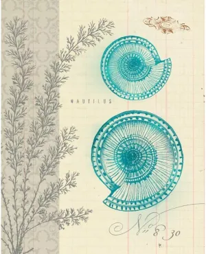ArtDirect Sea Life 4 15x18 Gallery Wrapped Canvas Museum Art by Z Studio