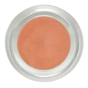 Ballet Slipper Shimmer