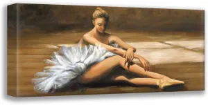 Bassetti, Andrea 24x12 Gallery Wrapped Stretched Canvas Art Titled: Etoile