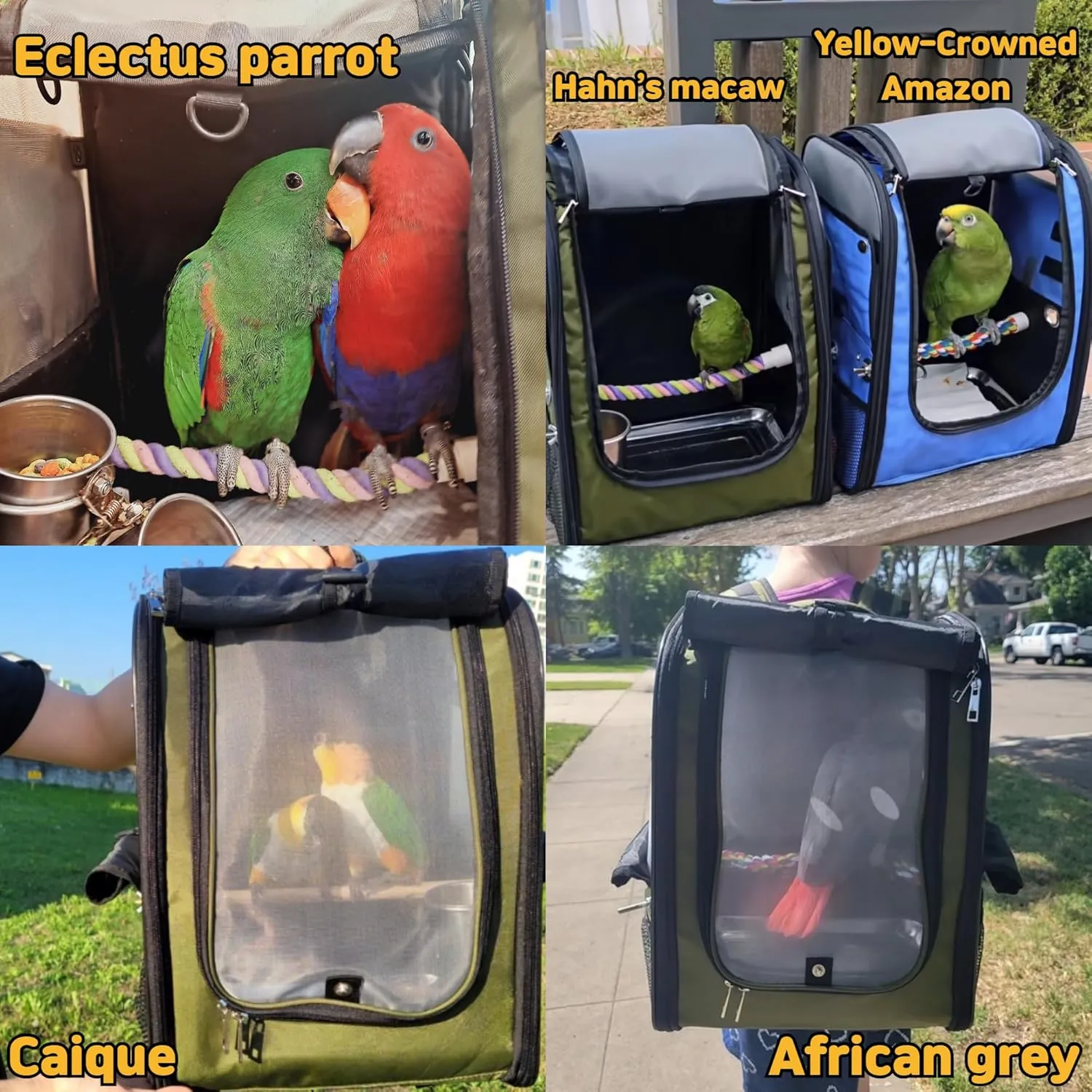 Bird Carrier Backpack-Parrot Travel Cage with 2PCS Perch and Food Bowl, Stainless Steel Tray (Dark Olive Green, Small to Medium Birds)