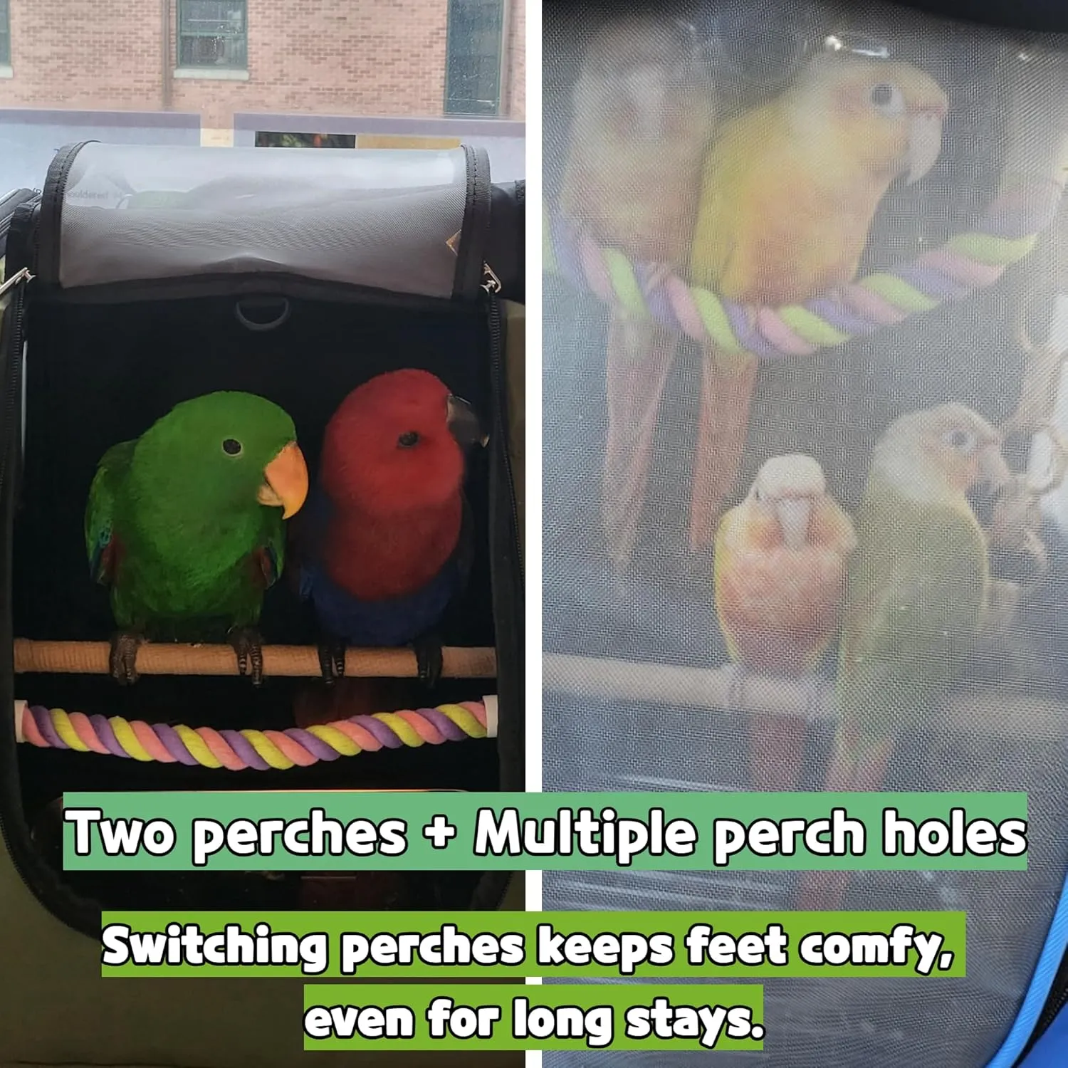 Bird Carrier Backpack-Parrot Travel Cage with 2PCS Perch and Food Bowl, Stainless Steel Tray (Dark Olive Green, Small to Medium Birds)