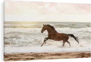 CafePress Canvas Wall Art Horses Beach Freedom Ready to Hang for Living Room, Bedroom or Office