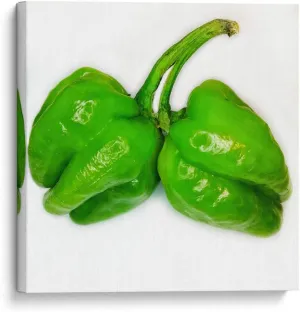 Canvas Lab Canvas Wall Art by Chef Capellini - Habanero Food & Decoration - 8 x 8 in - Food Kitchen Chili Ingredients Chef Diet Nutrition
