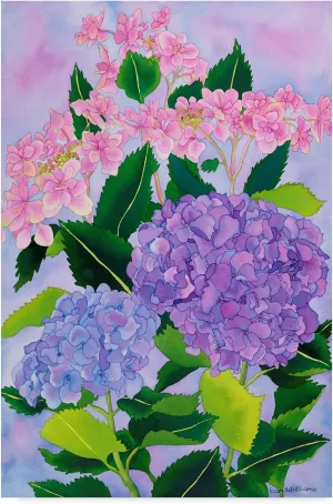 Carissa Luminess 'Hydrangea Wonder' Canvas Art