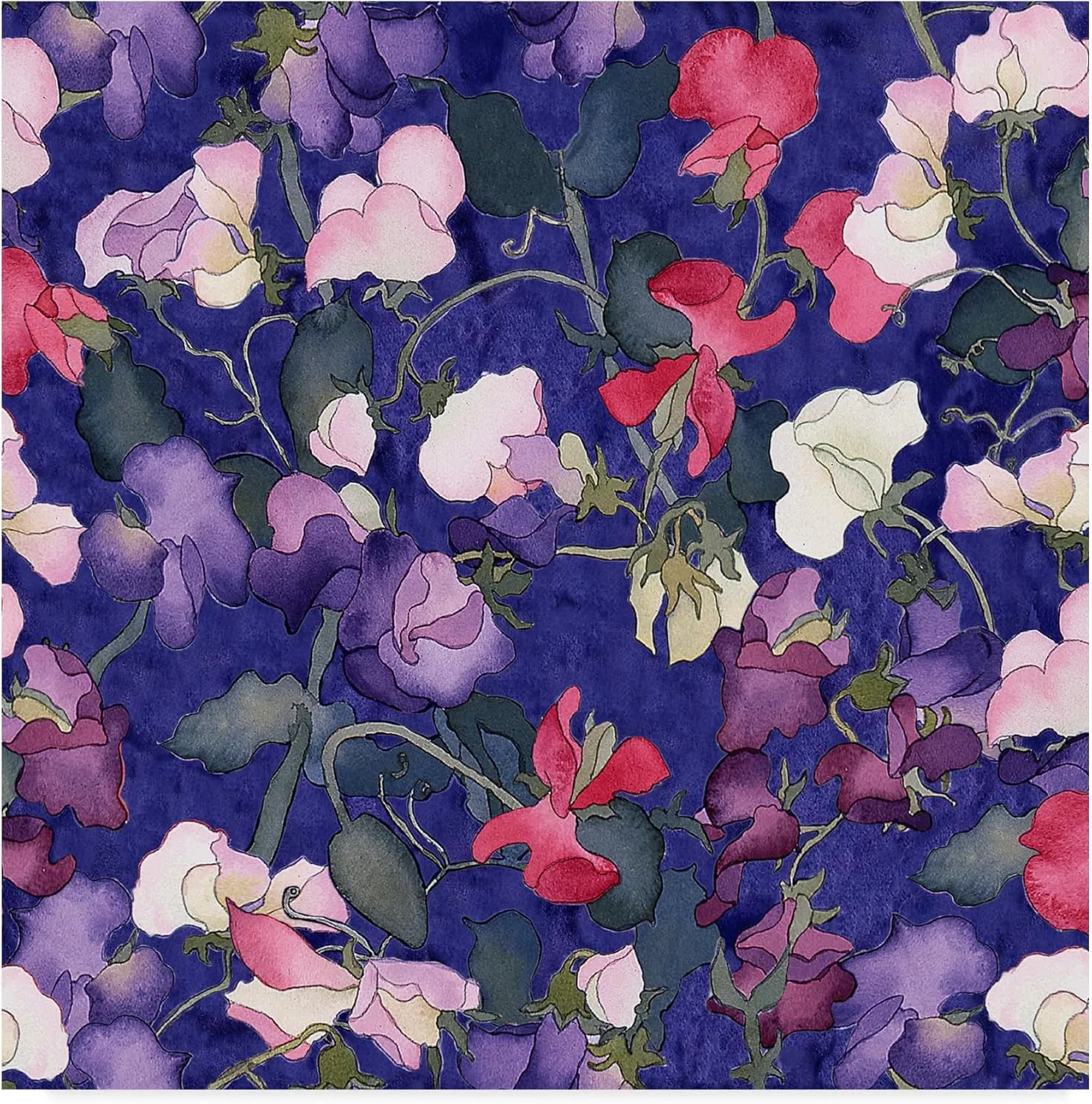 Carissa Luminess 'Sweet Peas Pattern Dark ' Canvas Art