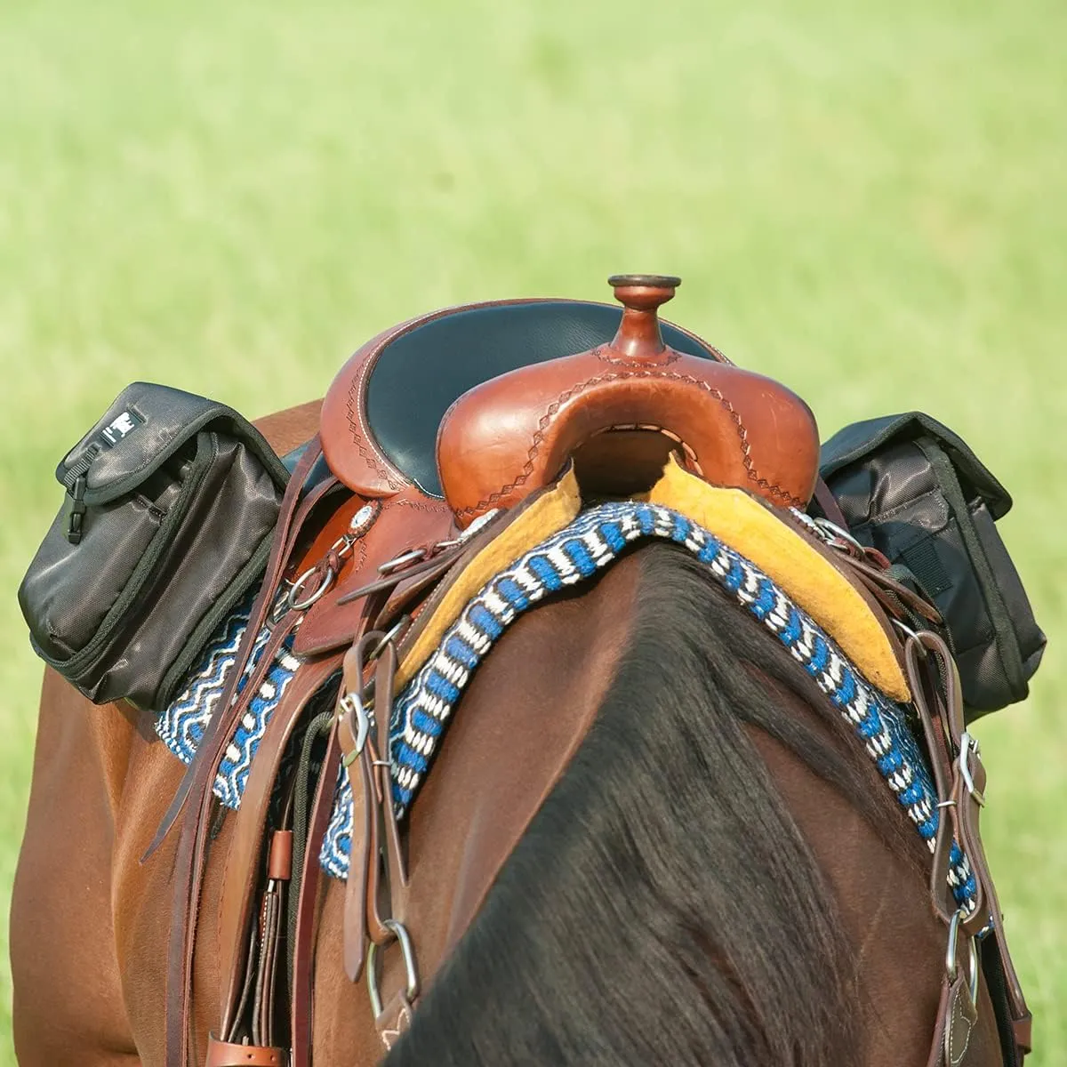 Cashel Medium Black Rear Saddle Bag (SB-RB-M-BLA)