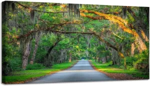 CHAUSSUREBAR Large Canvas Wall Art Road to Paynes Prairie Preserve State Park Florida Canvas Art Prints Pictures Wall Decor Living Room Wall Paintings for Bedroom Bathroom 30'' x 60''