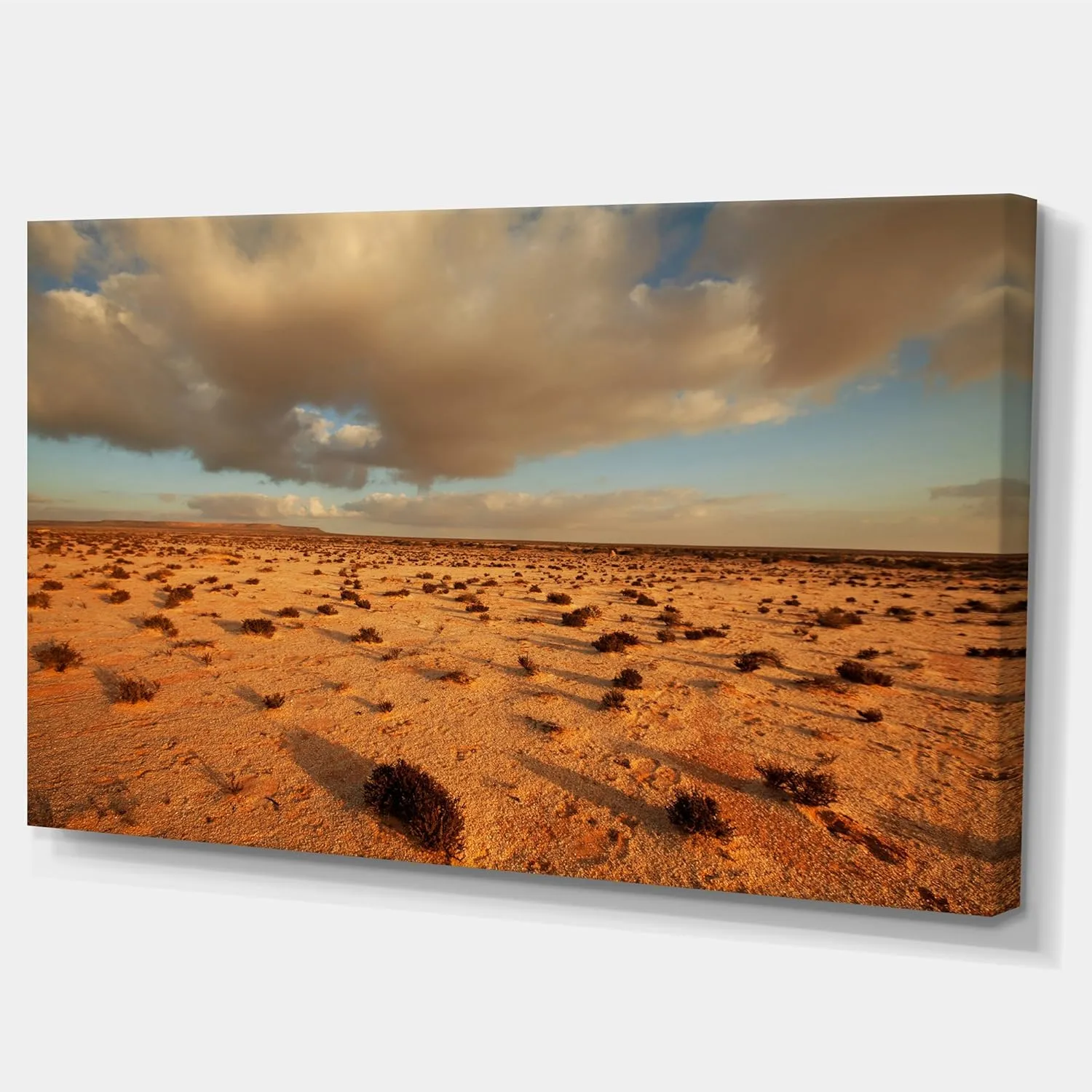 Desert in Western Sahara Landscape on Canvas Art Wall Photgraphy Artwork Print