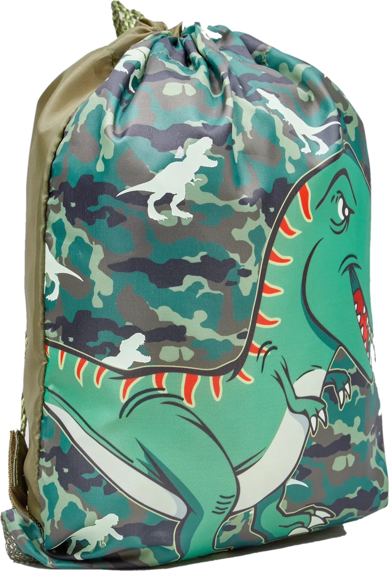 Dinosaur Drawstring Trainer Bag