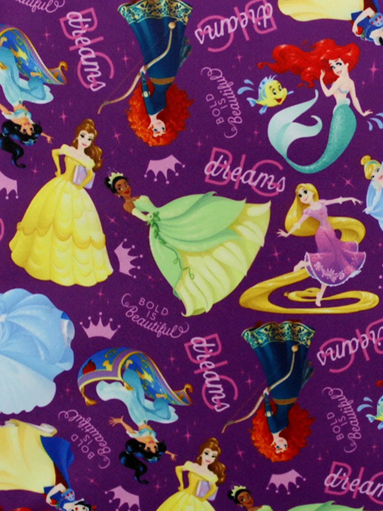 Disney Princess Insulated School Lunch Box