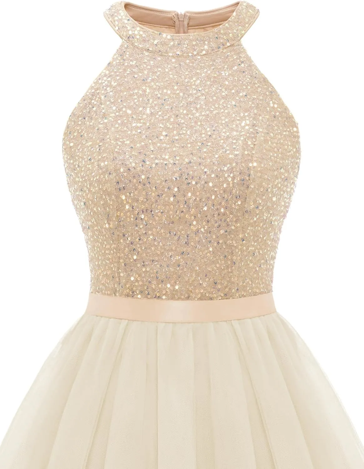 Dressystar Women's Short Halter Cocktail Party Dress Lace Tulle Prom Gown