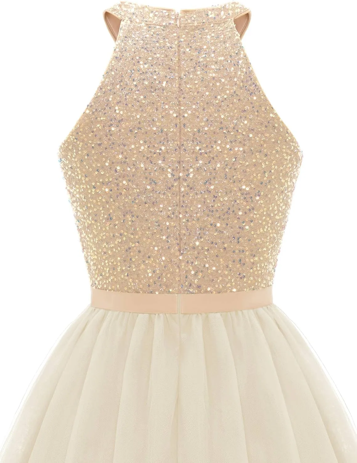 Dressystar Women's Short Halter Cocktail Party Dress Lace Tulle Prom Gown