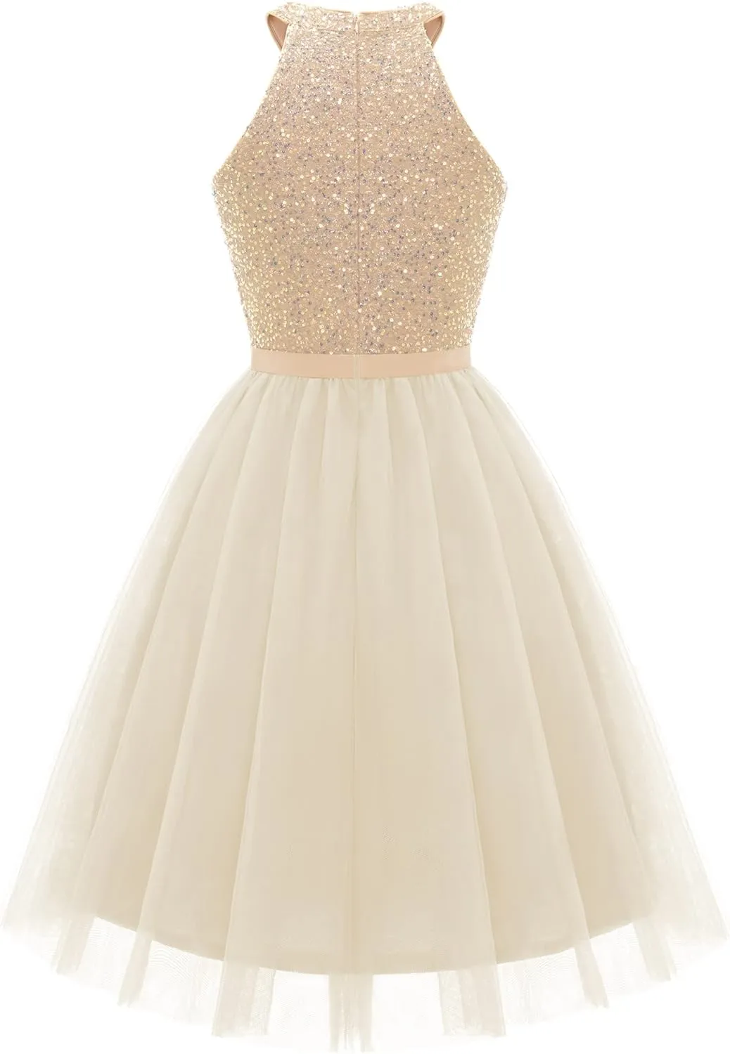 Dressystar Women's Short Halter Cocktail Party Dress Lace Tulle Prom Gown