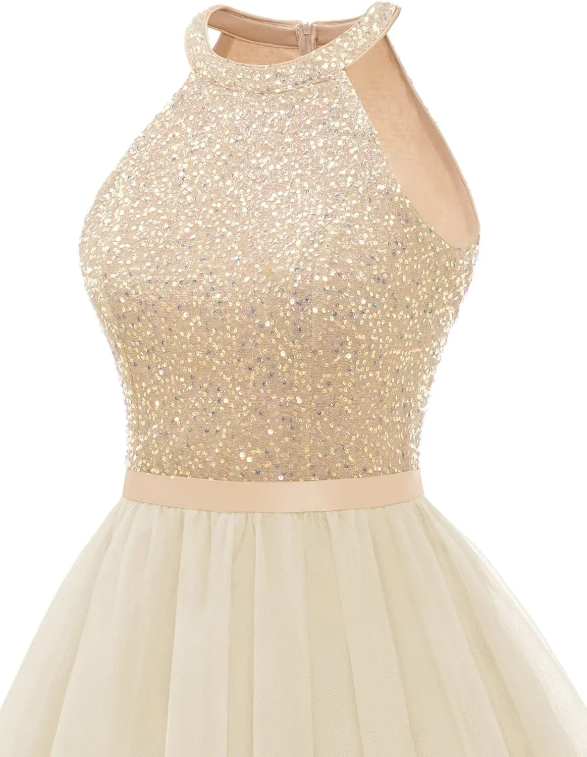 Dressystar Women's Short Halter Cocktail Party Dress Lace Tulle Prom Gown