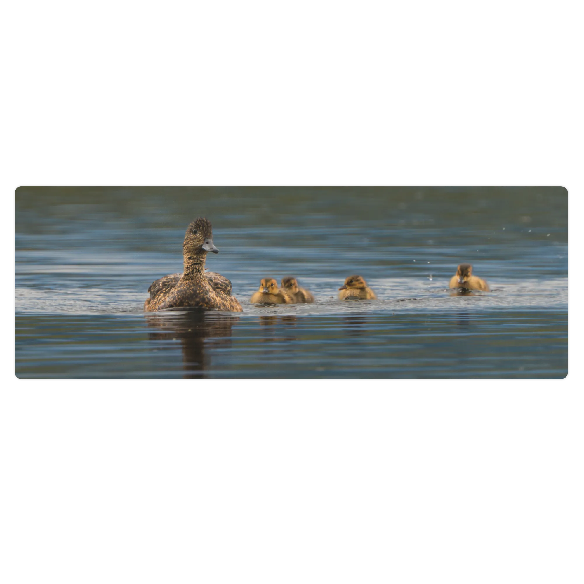 Duck Family Yoga mat