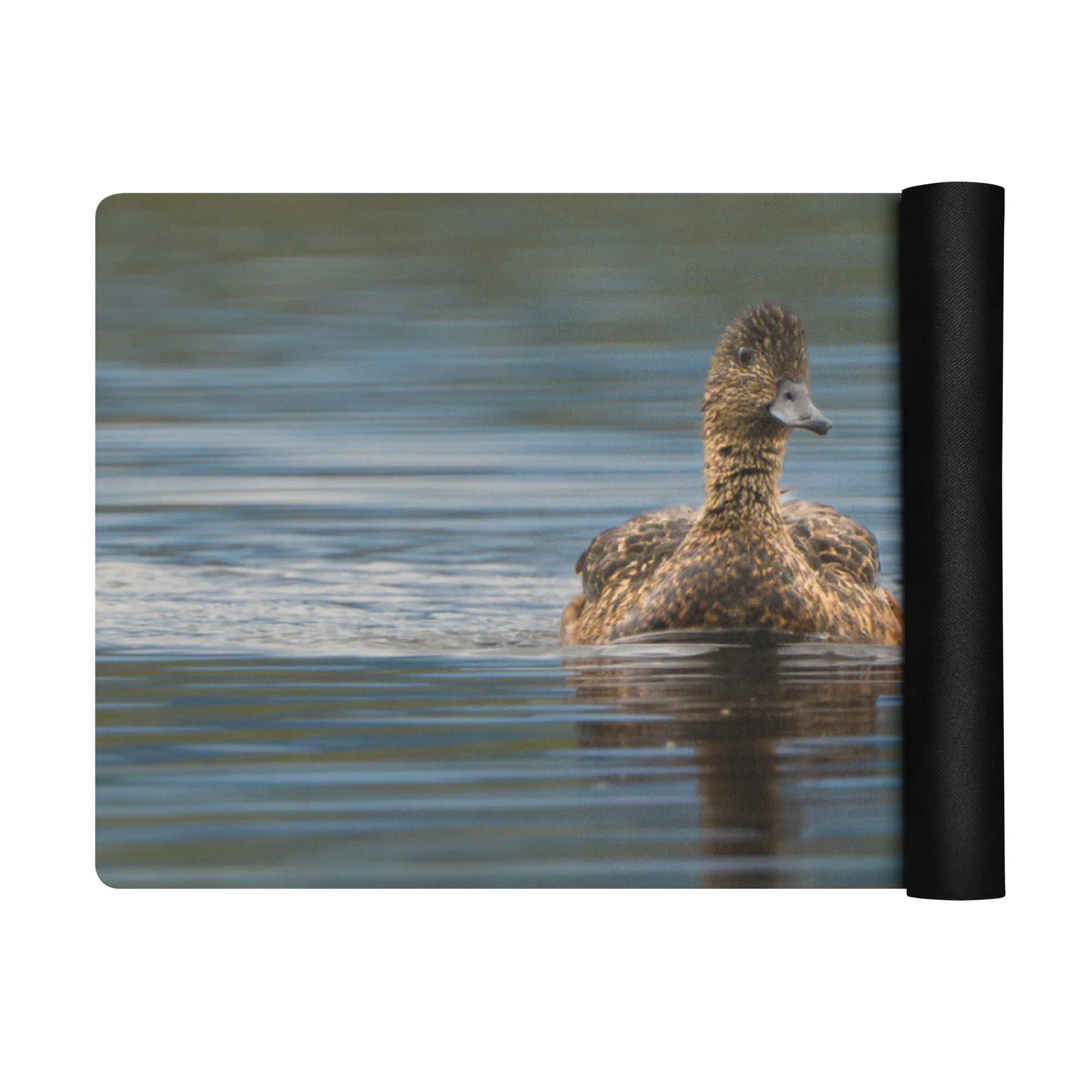 Duck Family Yoga mat