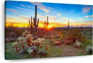 ElephantStock Sonoran Desert Sunset Landscape Canvas - 1 Panel Sunset Wall Decor - Beige-Orange Wall Canvas - Scenic Sunsets Photography Wall Art for Living Room - 24" X 16"