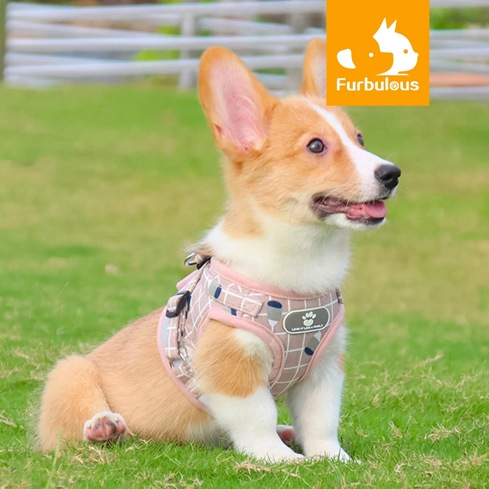 Furbulous No Pull Cat Small Dog Harness and Lead Set Adjustable Reflective Step-in Vest Harnesses Mesh Padded Plaid Escape Proof Puppy Jacket - Pink Medium