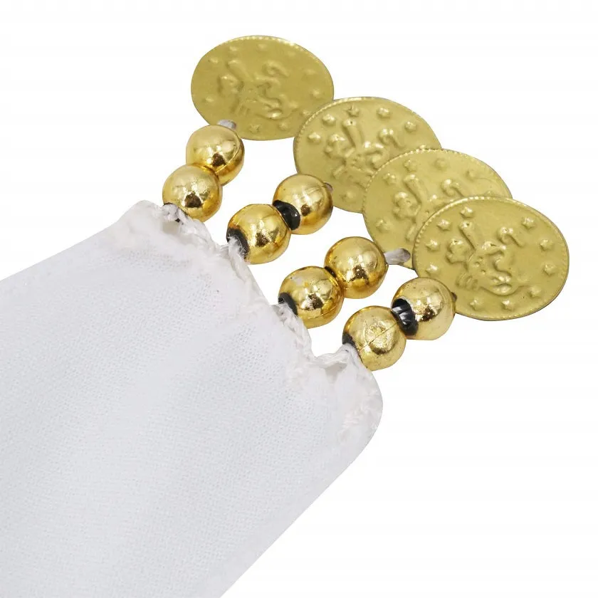 Gold Coin Velvet Hip Scarf Belly Dance Belt for Girls
