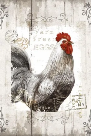 GRANDART.COM - Farm Fresh - Canvas Wall Art By Conrad Knutsen
