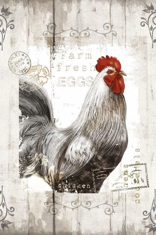 GRANDART.COM - Farm Fresh - Canvas Wall Art By Conrad Knutsen