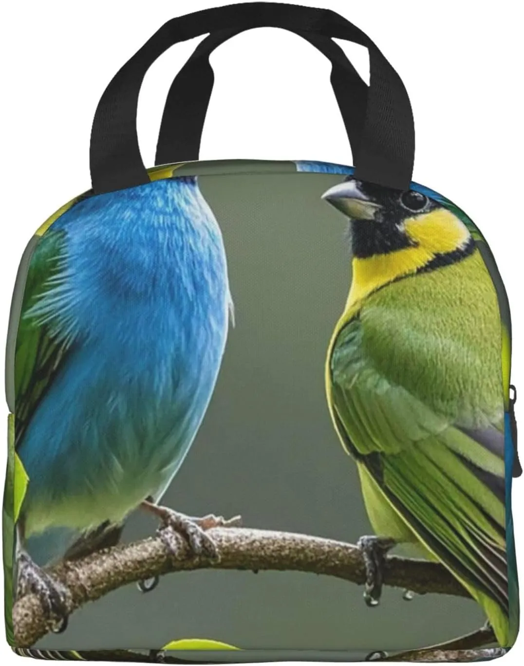 Lunch Bag Insulated Lunch Box for Women Men Birds nature green colors Reusable Lunch Tote Bag for Work Picnic Travel