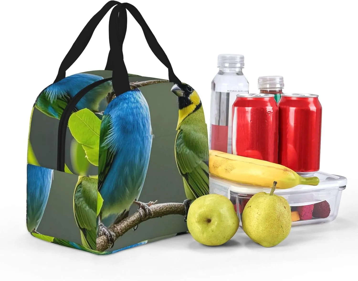 Lunch Bag Insulated Lunch Box for Women Men Birds nature green colors Reusable Lunch Tote Bag for Work Picnic Travel