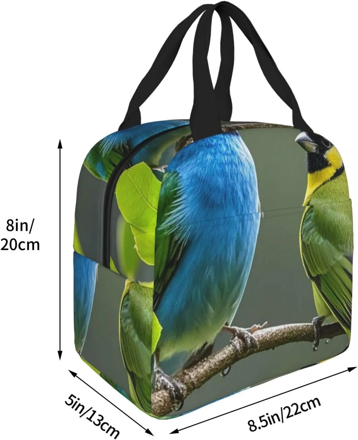Lunch Bag Insulated Lunch Box for Women Men Birds nature green colors Reusable Lunch Tote Bag for Work Picnic Travel