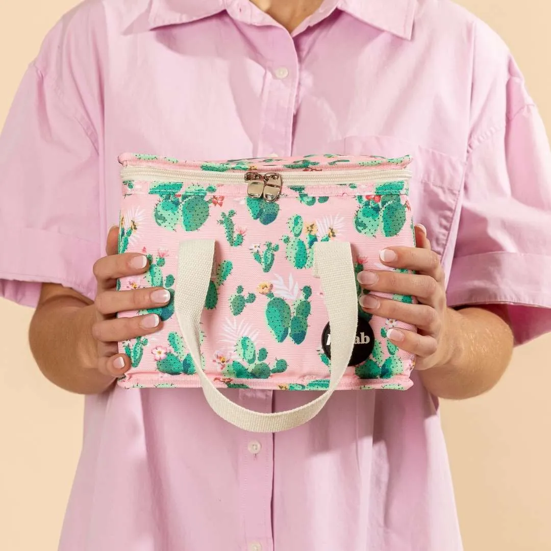 Lunch Box '10 Years' Cactus