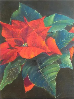 Margo Starkey 'Poinsettia, 2022' Canvas Art - 18 x 24 Inches