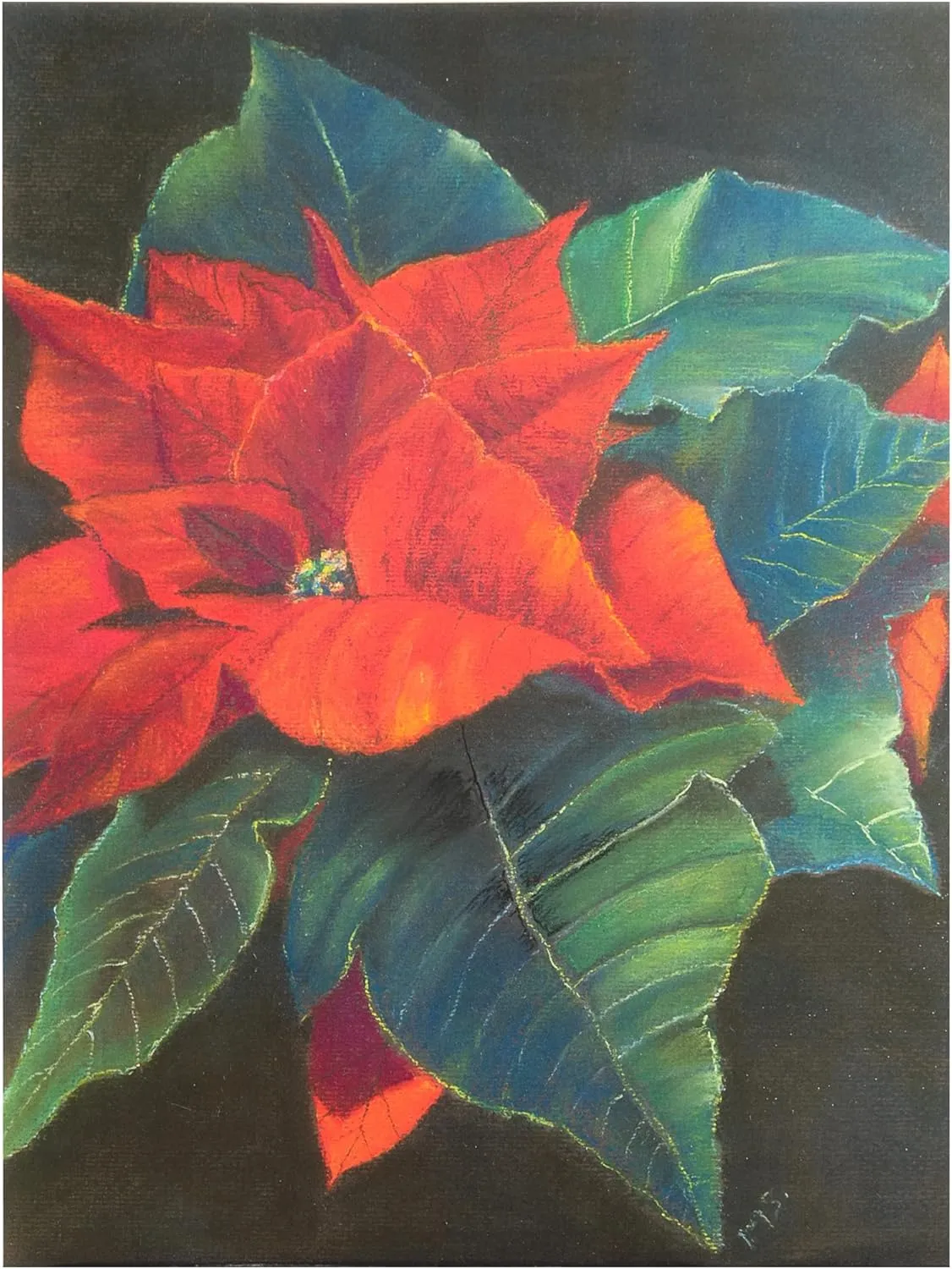 Margo Starkey 'Poinsettia, 2022' Canvas Art - 18 x 24 Inches