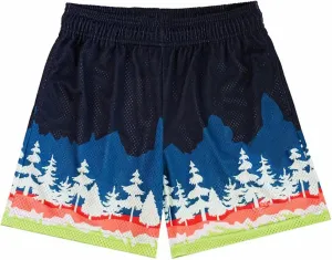 Mens Mesh Graphic Print Athletic Running Shorts Mens Fashion Quick-Dry Shorts for Basketball Workout