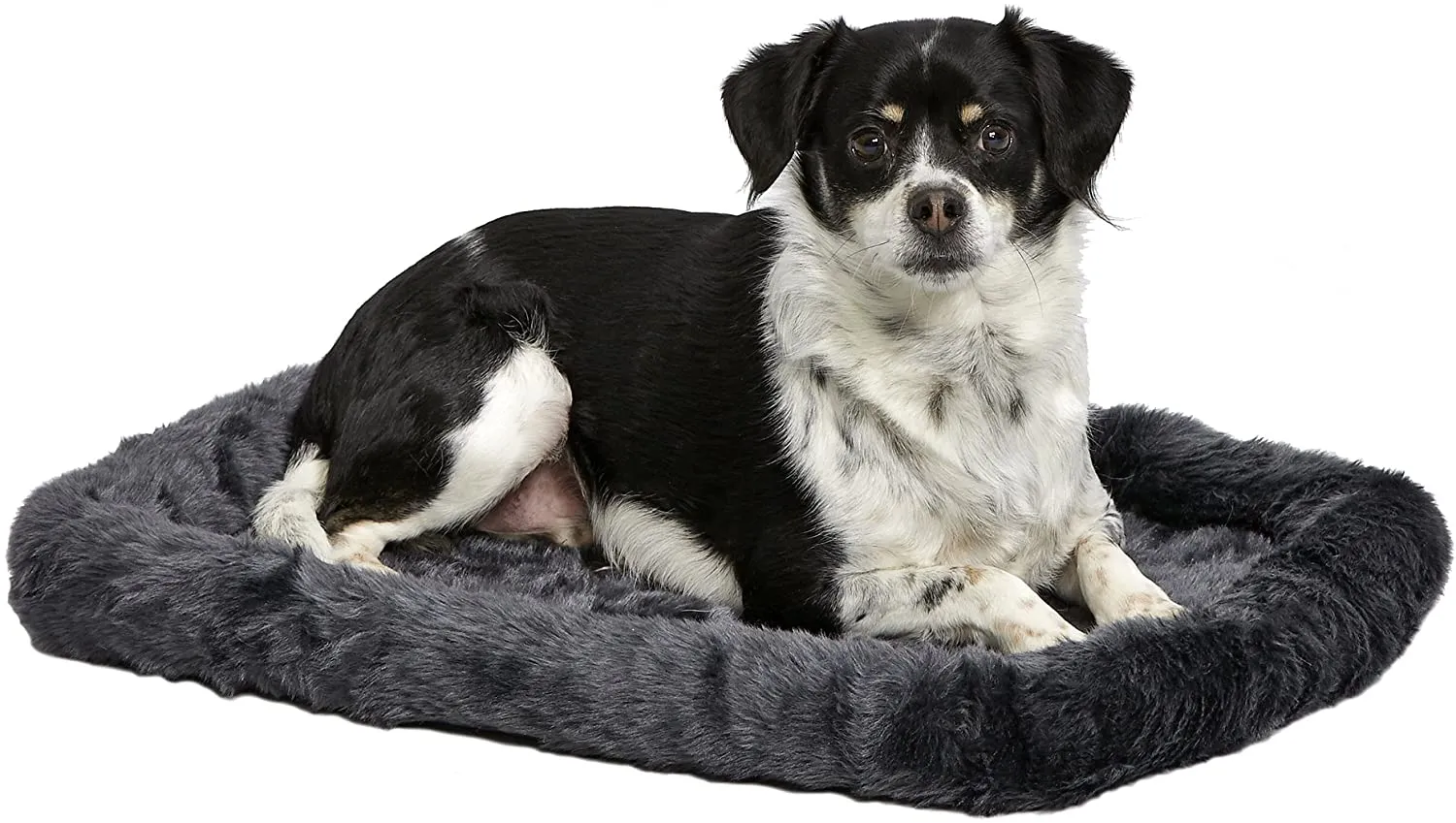 MidWest Bolster Pet Bed | Machine Wash & Dry