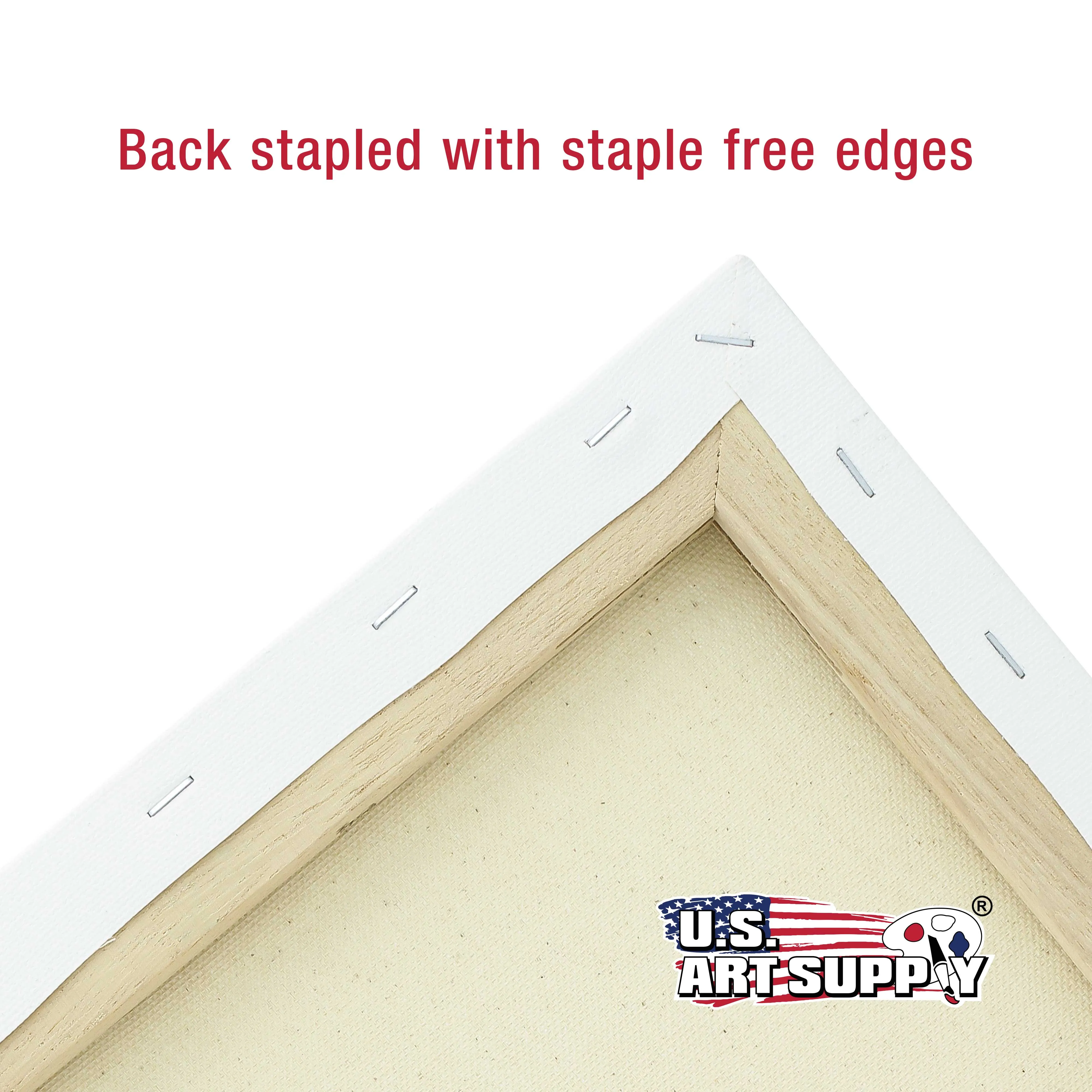 Multi-Pack 2-Ea of 4x4, 5x7, 8x10, 9x12, 11x14. Professional Quality Small 12oz Primed Gesso Artist Stretched Canvas