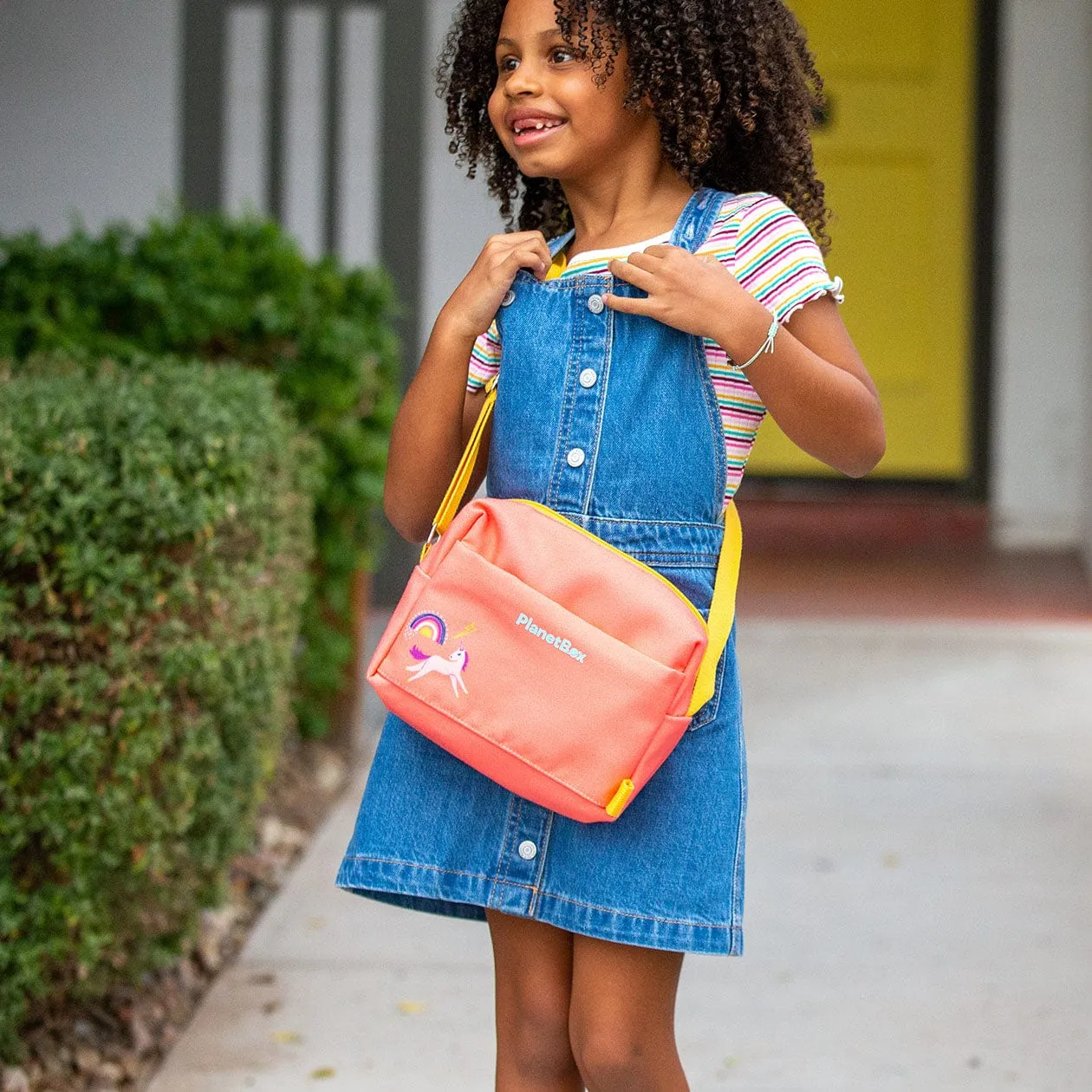 PlanetBox Shuttle Carry Bag