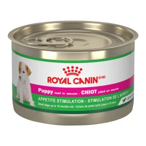 Puppy (up to 10-15 months)