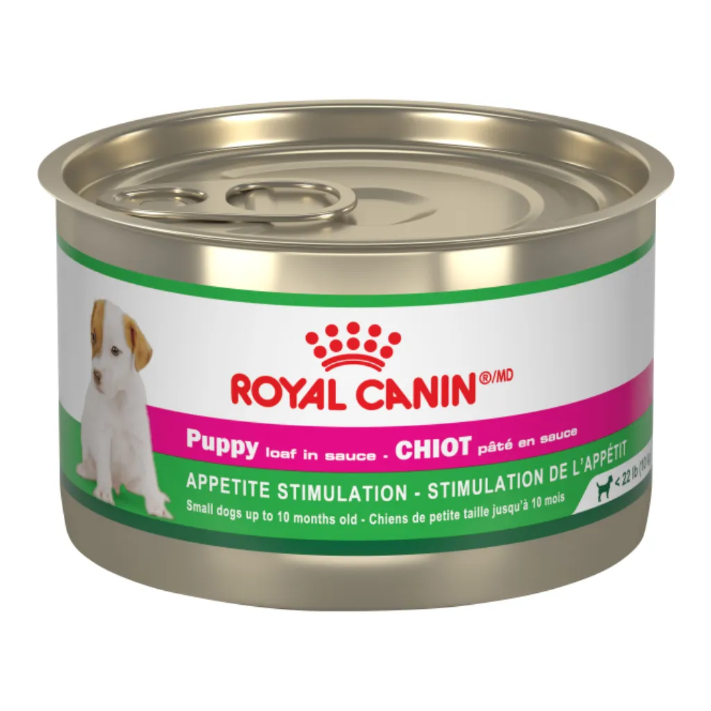 Puppy (up to 10-15 months)