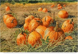 Trademark Fine Art, 30x47-Inch Pumpkin Harvest by Michael Davidoff