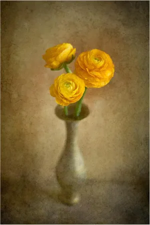Trademark Fine Art Canvas Wall Art - Igor Tokarev 'Yellow Buttercups' Wall Art for Living Room, Bedroom, or Office Décor