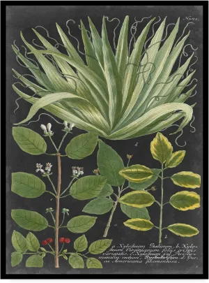 Trademark Fine Art Dramatic Weinmann Greenery IV by Vision Studio, 24x32-Inch, 24x32