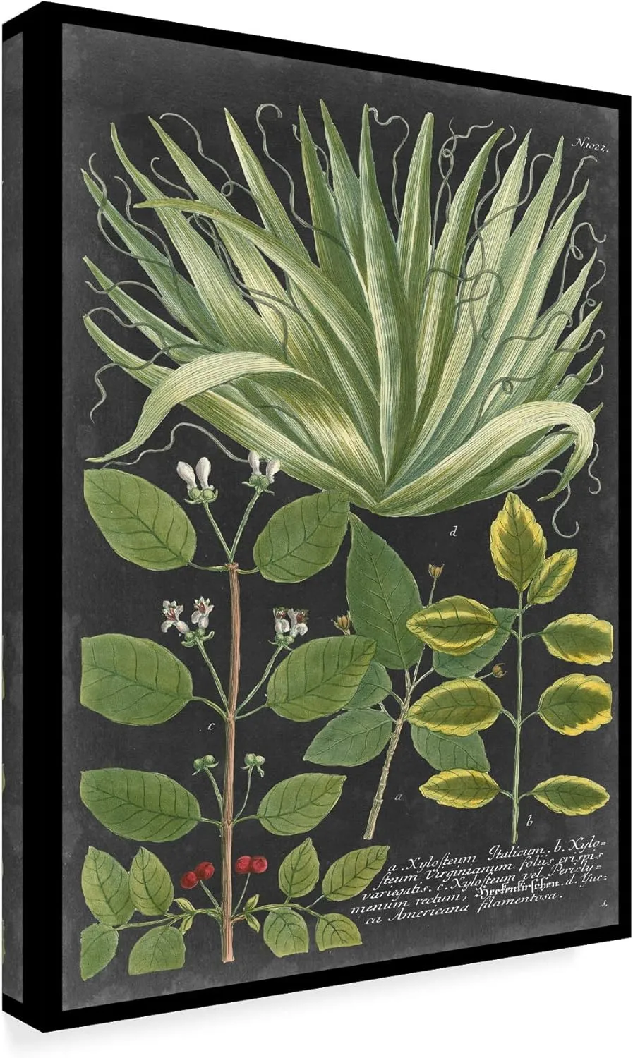 Trademark Fine Art Dramatic Weinmann Greenery IV by Vision Studio, 24x32-Inch, 24x32
