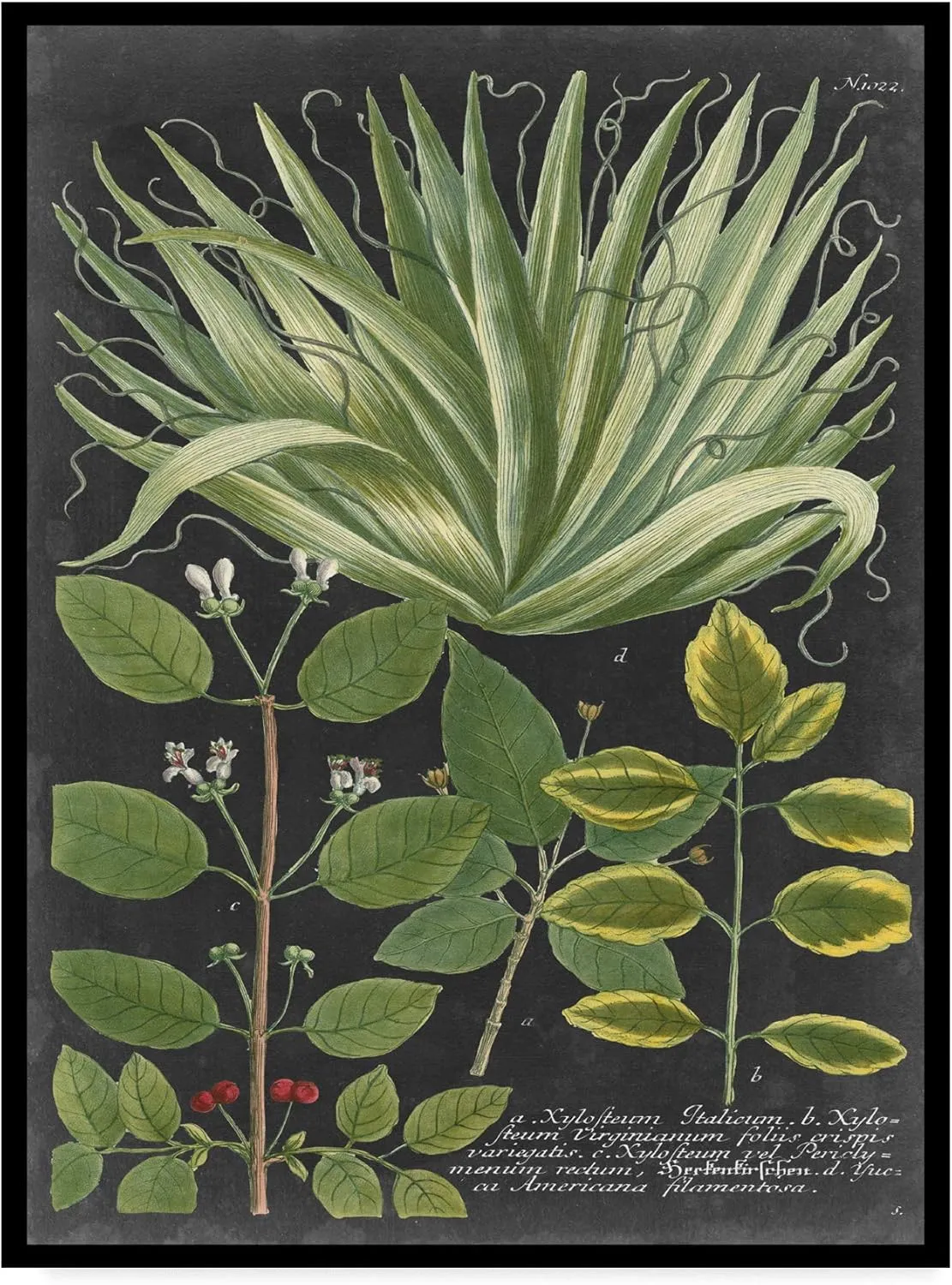 Trademark Fine Art Dramatic Weinmann Greenery IV by Vision Studio, 24x32-Inch, 24x32