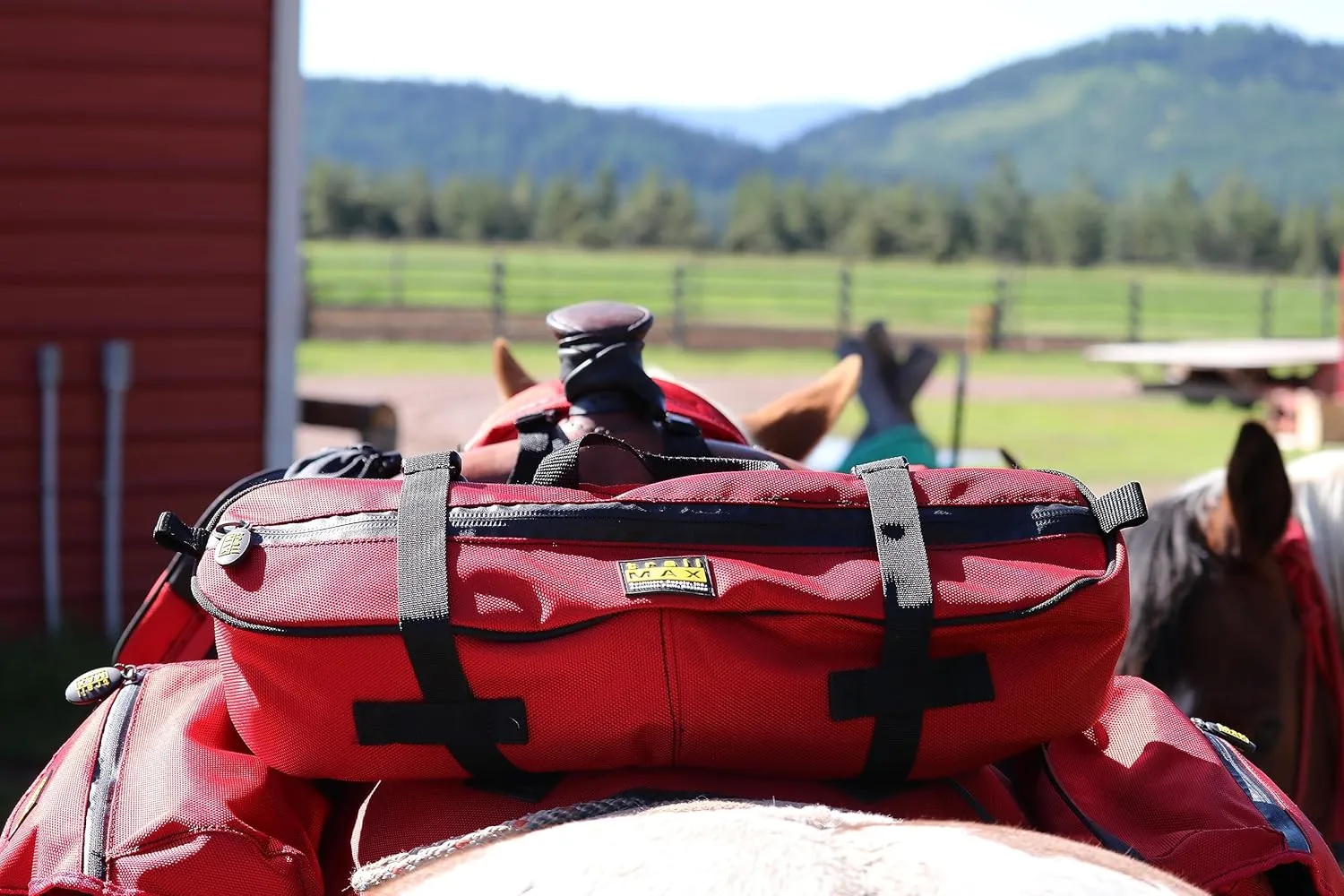 TrailMax 500 Series Insulated & Padded Cantle Horse Saddlebag for Trail Riding; Padded & Insulated Trail Bags for Horses; Insulated & Padded Cantle Bag for Western & Endurance Saddles