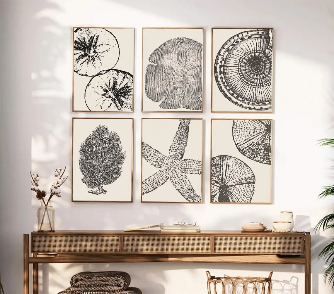 WYHLMTQ 6Pcs Boho Coastal Canvas Wall Art - Modern Abstract Shell Pictures - Unframed 12x16In - For Beach House, Bathroom, Living Room