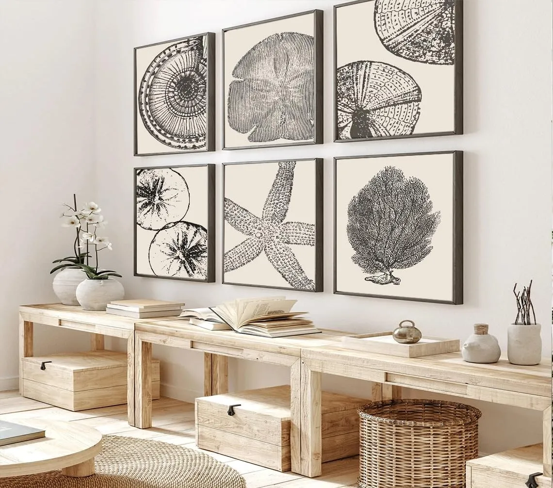 WYHLMTQ 6Pcs Boho Coastal Canvas Wall Art - Modern Abstract Shell Pictures - Unframed 12x16In - For Beach House, Bathroom, Living Room