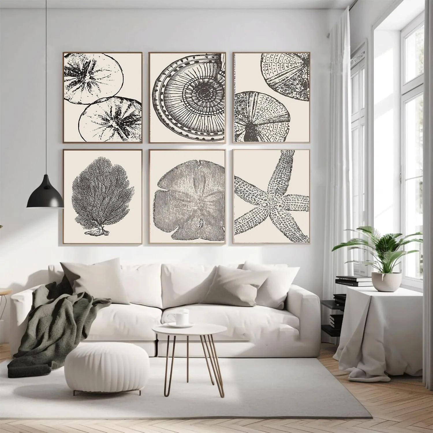 WYHLMTQ 6Pcs Boho Coastal Canvas Wall Art - Modern Abstract Shell Pictures - Unframed 12x16In - For Beach House, Bathroom, Living Room