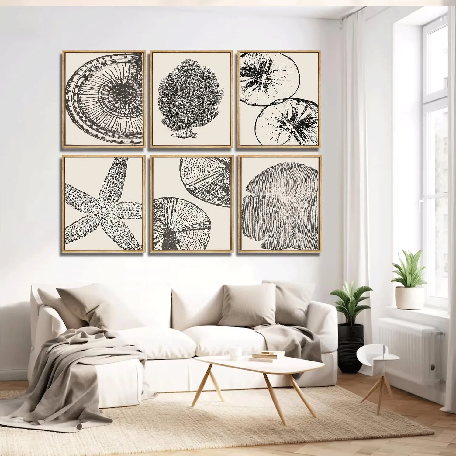 WYHLMTQ 6Pcs Boho Coastal Canvas Wall Art - Modern Abstract Shell Pictures - Unframed 12x16In - For Beach House, Bathroom, Living Room